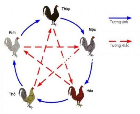 Cách xem màu hợp mạng tuổi dậu theo ngày?  1300815856