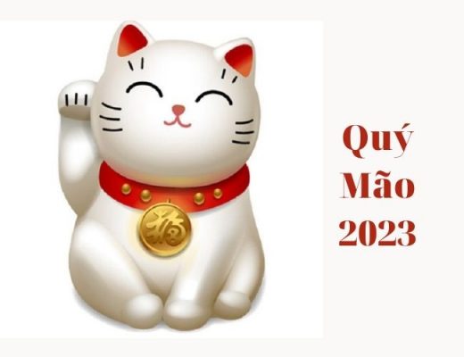 Nam 2023 là nam hay nữ